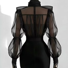 批发设计感黑色欧根纱泡泡袖<b class='q'>蝴蝶结</b><b class='q'>衬衫</b>女春季气质高级感透视薄款上衣