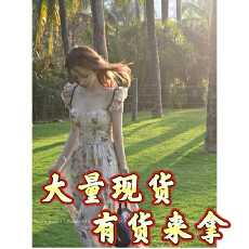 批发DoggyQin/枯木逢春 法式小飞袖<b class='q'>印花</b><b class='q'>连衣裙</b>夏季自带胸垫鱼骨长裙