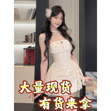 批发SYJ/舒衣家 名媛千金风镶钻<b class='q'>丝绒</b>吊带<b class='q'>连衣裙</b>女高级感公主蓬蓬短裙