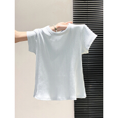 批发简约风坑条圆领短袖<b class='q'>t</b><b class='q'>恤</b>女夏季新款修身显瘦肌理感基础款百搭上衣