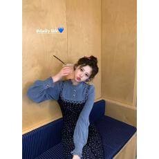 批发一生罗曼海兰花秋冬法式设计感碎花假两件拼接长袖连衣裙