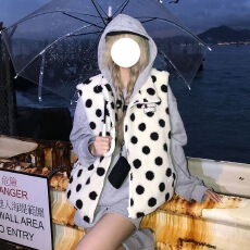 批发网红ins复古秋冬韩系刺绣宽松波点加厚保暖羊羔毛马夹无袖外套潮