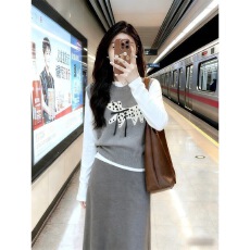 批发秋季套装女2025新款轻熟风小狗蝴蝶结针织马甲打底衫<b class='q'>半身裙</b>三件套