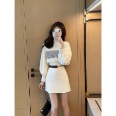 批发法式白色卫衣<b class='q'>连衣裙</b>女2025新款爆款秋季小个子轻熟风气质收腰短裙