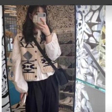 批发复古提花春秋季2025年新款无袖圆领毛衣马甲背心开衫上衣女装潮