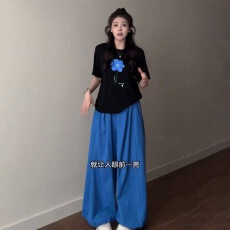 批发休闲运动套装女夏季新款高级感老钱风慵懒短袖阔腿裤宽松两件套潮