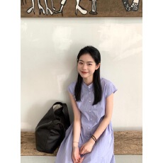 批发夏季新款小立领紫色衬衫连衣裙法式风少女褶皱收腰显瘦衬衫裙长款