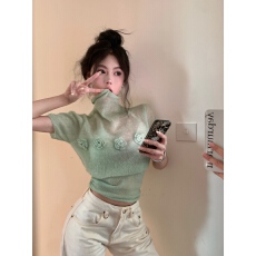 批发立体花朵薄款<b class='q'>高领</b>针织衫女修身显瘦短袖打底