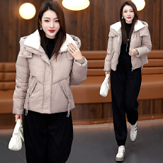 批发秋冬时尚洋气加厚运动<b class='q'>套装</b>女2025新款棉服保暖外套哈伦卫裤两件套