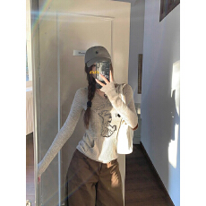 批发美式小狗<b class='q'>印花</b>连帽套头女装秋季小众内搭上衣