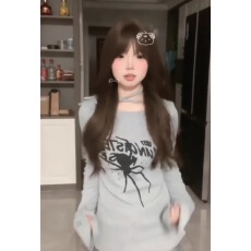 批发德绒美式<b class='q'>街头</b>蜘蛛印花长袖t恤春秋2023打底上衣