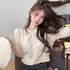 批发钩花<b class='q'>镂空</b>针织<b class='q'>开衫</b>女秋冬别致独特短款上衣设计感小众长袖毛衣外套