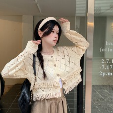 批发小众韩系设计感<b class='q'>镂空</b>流苏短款针织<b class='q'>开衫</b>女装秋季温柔风软糯毛衣外套