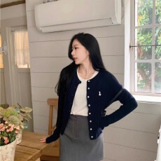 批发学院风针织开衫外套女秋季高级感小个子气质刺绣修身<b class='q'>长袖</b>衬衫上衣