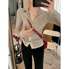 批发polo领条纹针织开衫女早秋内搭修身羊毛<b class='q'>打底衫</b>设计感小众V领毛衣