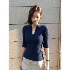 批发夏季穿搭气质v领高知感polo领针织衫女<b class='q'>中袖</b>修身显瘦