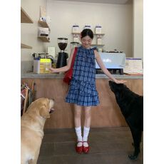 批发有内里有拉链 <b class='q'>连衣裙</b>子女夏季新款爆款小个子蛋糕短裙