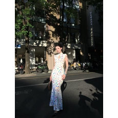 批发fortylions长款网纱植绒新中式彩色波点连衣裙女<b class='q'>夏</b>季修身包臀裙子
