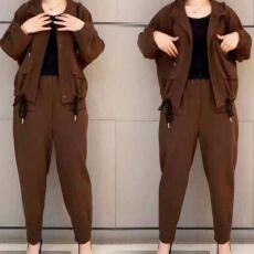 批发新款洋气时尚春秋季2025年宽松休闲<b class='q'>哈伦裤</b>两件<b class='q'>套装</b>女款减龄<b class='q'>套装</b>