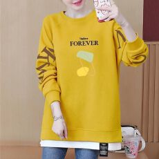 批发2026春装新款中长款<b class='q'>上衣</b>T恤长袖秋冬卫衣女士加绒<b class='q'>宽松</b>时尚假两件