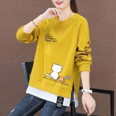 卫衣女2026新款春秋季时尚女士洋气减龄显瘦百搭长袖连帽上衣外套