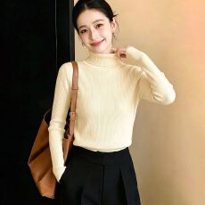 批发实拍~休闲高领长袖修身<b class='q'>针织</b>打底衫基础百搭秋新款显瘦气质内搭女