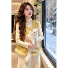 批发黄色背心马甲内搭长袖打底衫上衣女冬季2025新款宽松半身裙三件套