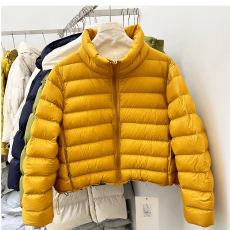 批发韩版2025年秋冬季时尚新款棉服女简约风排骨修身小个子时尚外套