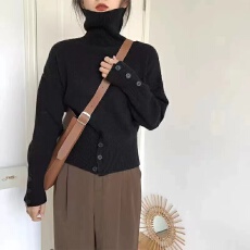 批发<b class='q'>韩版</b>chic排扣软糯高领毛衣保暖秋冬打底修身针织衫