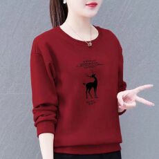 批发卫衣女2025新款潮韩版春秋季宽松显瘦百搭款上衣外套女年轻妈妈<b class='q'>装</b>