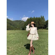 批发刺绣天丝面料+内里 民族风蝴蝶腰带喇叭袖<b class='q'>荷叶边</b>短款<b class='q'>连衣裙</b>
