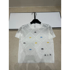 批发2026年春夏新品小蜜蜂字母刺绣薄款圆领短袖套头针织衫T恤女上衣