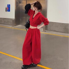 批发2025秋季新款简约通勤风纯色长袖<b class='q'>卫衣</b>裤套装女