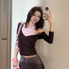 批发复古撞色<b class='q'>v领</b>假两件外穿长袖<b class='q'>T</b><b class='q'>恤</b>女秋季新款小众修身深棕色显瘦上衣