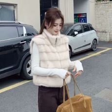 批发已出货 韩系复古立领<b class='q'>秋</b>冬仿貂毛坎肩马甲2025新款