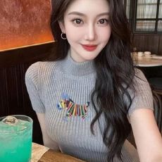 批发<b class='q'>白色</b>半高领<b class='q'>短袖</b>针织衫女春彩色斑马刺绣修身显瘦内搭打底上衣