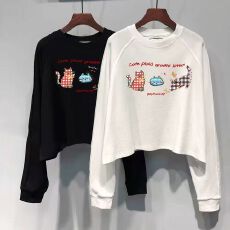 批发21支纯棉<b class='q'>韩版</b>复古小众短款长袖卫衣内搭打底女秋季新款宽松上衣潮