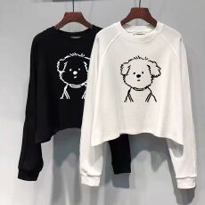批发21支纯棉<b class='q'>韩版</b>复古小众短款长袖卫衣内搭打底女秋季新款宽松上衣潮