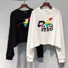 批发21支纯棉<b class='q'>韩版</b>复古小众短款长袖卫衣内搭打底女秋季新款宽松上衣潮