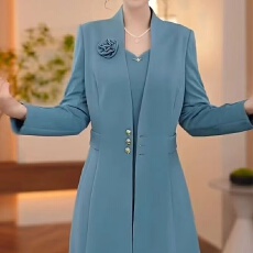 批发2025秋季穿搭新款<b class='q'>高端</b>时尚优雅礼服<b class='q'>连衣裙</b>遮肚子显瘦洋气两件套装