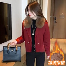 批发官图  小个子西装领短款外套<b class='q'>女士</b>2025秋冬季宽松显瘦加绒加厚棉衣