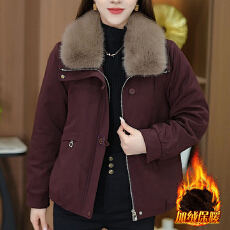 批发官图  洋气时尚高级感<b class='q'>棉衣</b>短款外套女2025冬季新款<b class='q'>妈妈</b>装遮肉棉服