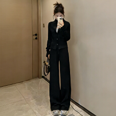 批发官图  高含棉时尚运动风套装女2026春<b class='q'>秋</b>新款显瘦外套阔腿裤两件套