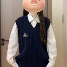 批发两件套韩系甜美叠穿刺绣针织马甲背心女学生<b class='q'>秋</b>季新款百搭白色衬衫