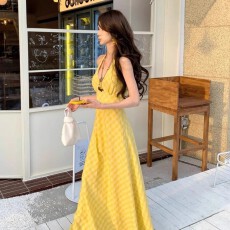 批发原版做法 有胸垫内衬加拉链 温柔度假风长裙连衣裙v领挂脖女夏季