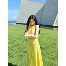 批发原版做法 有胸垫内衬加拉链 法式优雅连衣裙夏季<b class='q'>气质</b>度假风长裙