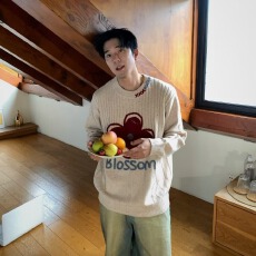 65涤纶35聚丙烯腈纤维刺绣彩点正色毛衣女春秋情侣针织衫上衣