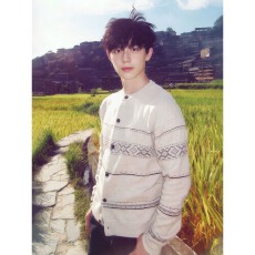 批发费尔岛前言提花针织开衫外套男女春秋软糯毛衣高质感穿搭夹克衫