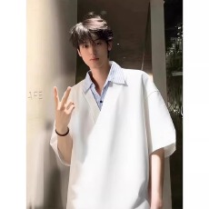 批发假两件国潮衬衫领短袖<b class='q'>T</b><b class='q'>恤</b><b class='q'>男款</b>夏季高级感polo领痞帅宽松凉感半袖