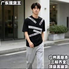 批发2026飞马<b class='q'>夏</b>季新款短袖t恤男圆领小众痞帅高级感印花高端修身半袖
